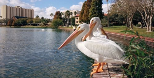 Preferred Coral Springs Florida Hotels
