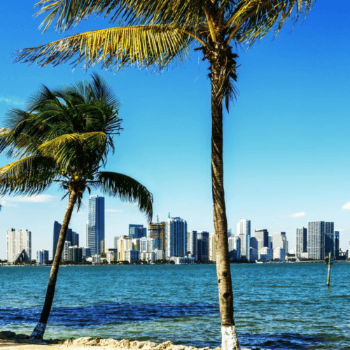 5 Exotic Sightseeing Wonders in Miami, Florida