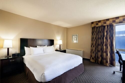 Radisson Hotel JFK King Bed Room