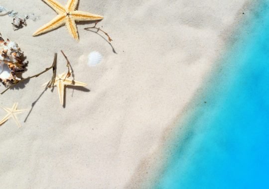 Top 3 Reasons to visit Jamaica this Winter