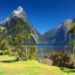 Why you Need to Visit New Zealand in This Lifetime