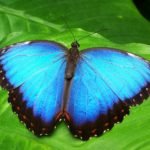 Top 5 Things to Do  Near Coral Springs, FL