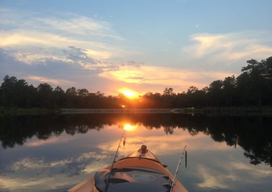 Discover Pumpkin Hill Creek in Jacksonville