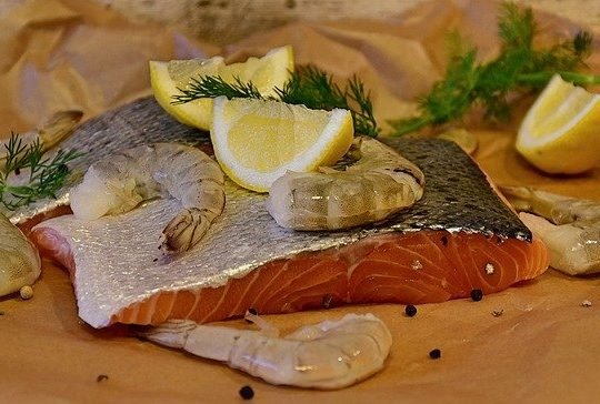 Seafood lovers delight: Must-see seafood festivals in Florida