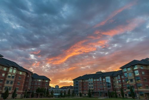 binghamton university