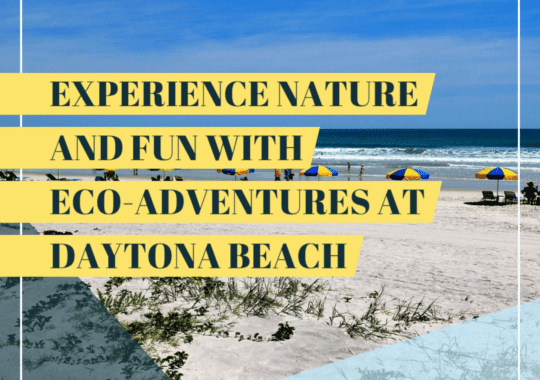 Experience Nature And Fun With Eco-Adventures At Daytona Beach