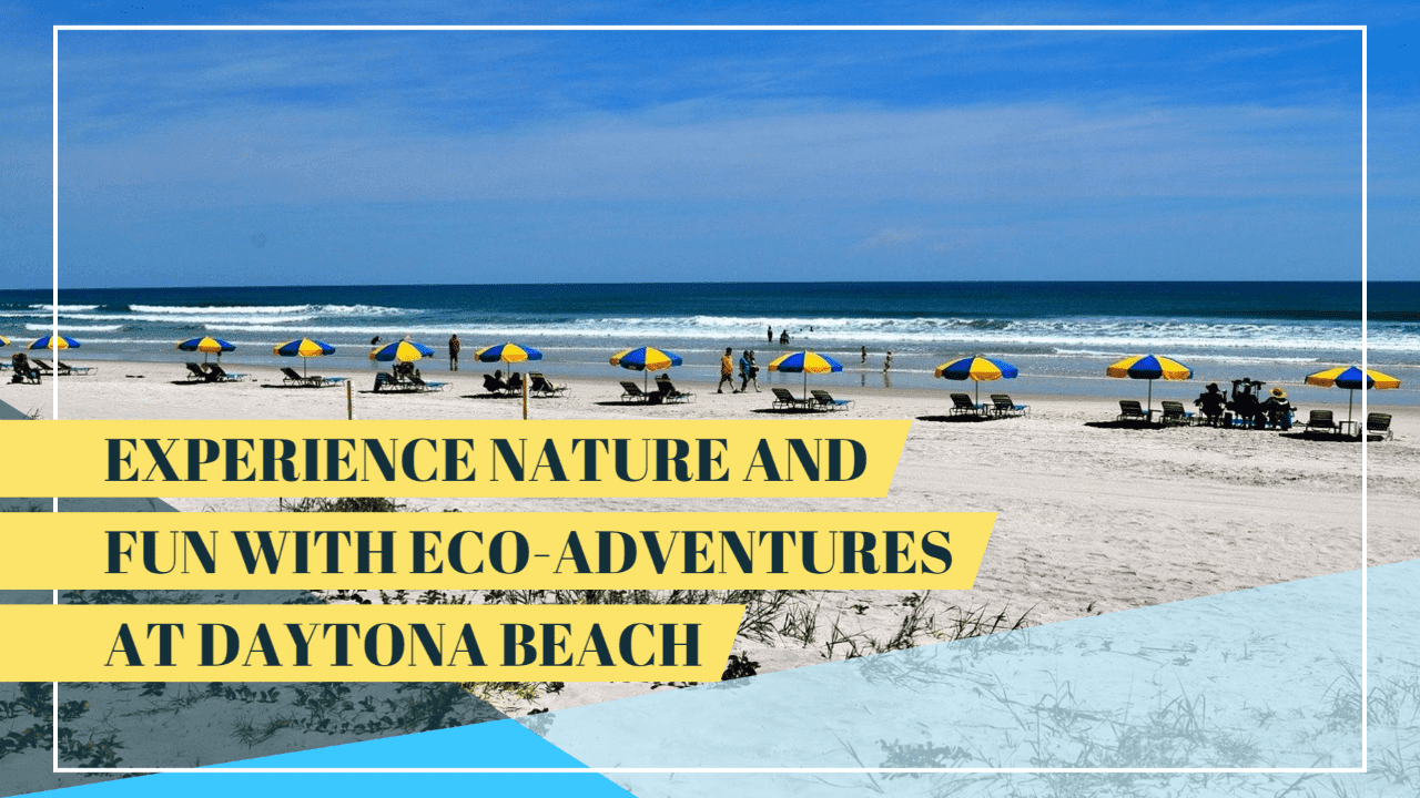 Experience Nature And Fun With Eco-Adventures At Daytona Beach Florida