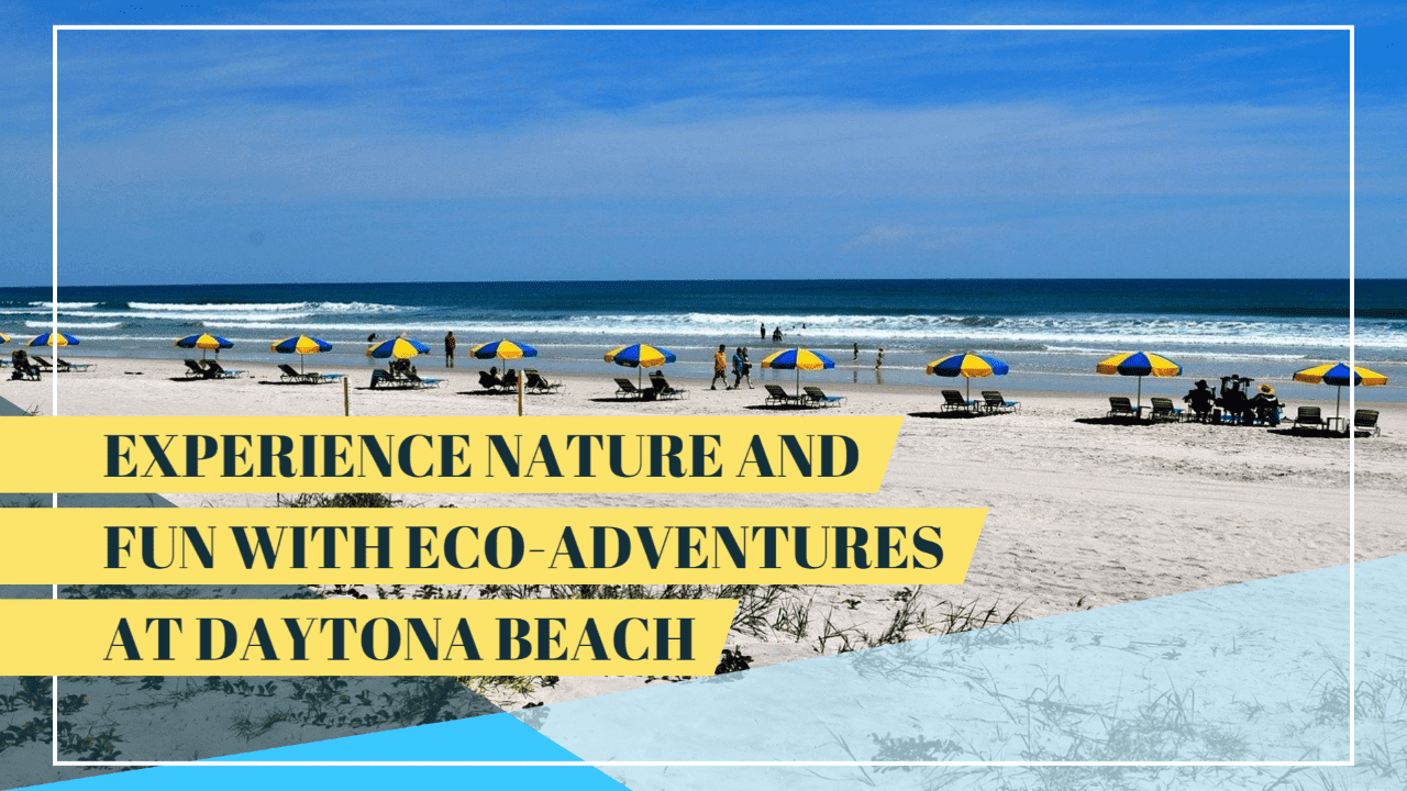 Eco-Adventures At Daytona Beach