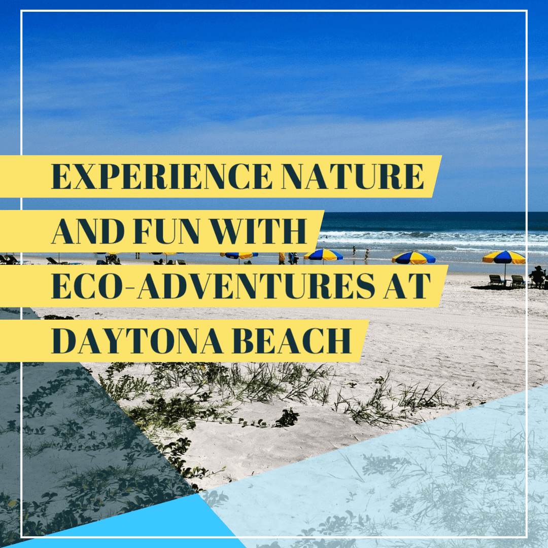 EcoAdventures At Daytona Beach