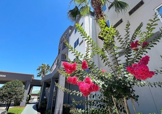 Visit Oldsmar Florida