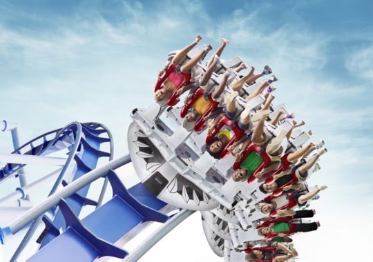 Upcoming Sale Of The Summer And The Ultimate Shark Experience At SeaWorld