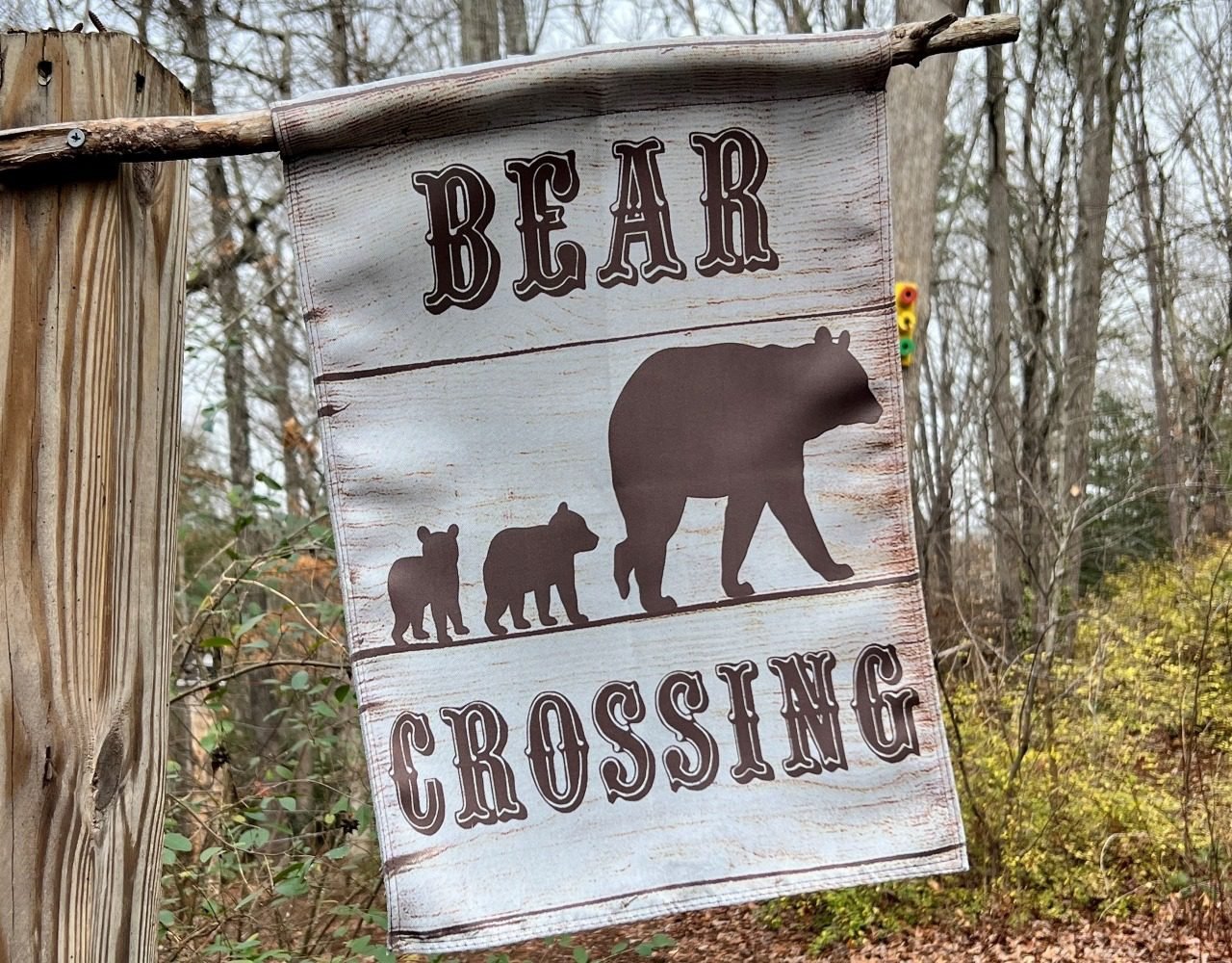 25 Amazing Things We Enjoyed In Asheville North Carolina 14 Check out the bear crossing walking trail
