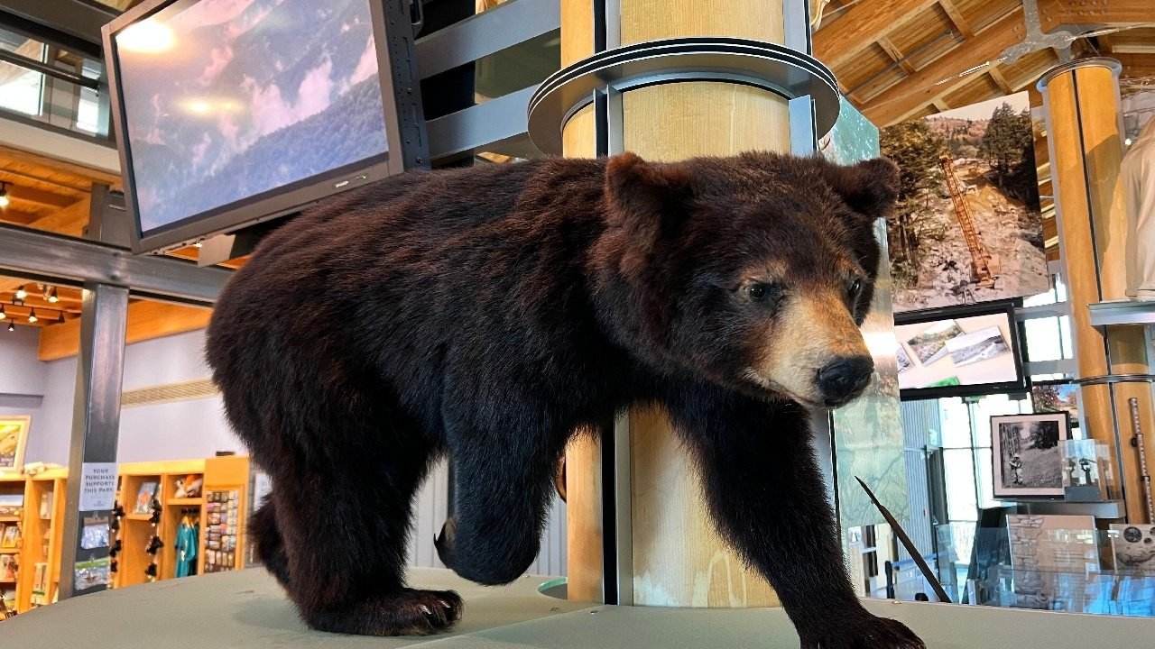 25 Amazing Things We Enjoyed In Asheville North Carolina 16 Drive through Blue Ridge Parkway