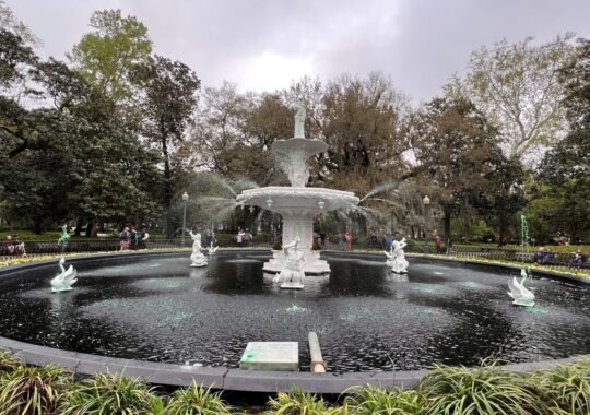 Discover the Natural Beauty of Forsyth Park in Savannah Georgia