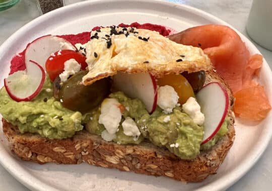 Dining Delights: Exploring the Best Restaurants in Savannah Georgia