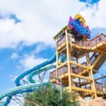 Dive into Summer Fun at Aquatica Orlando Waterpark