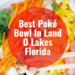 Best Poke Bowl In Land O Lakes Florida