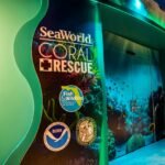 SeaWorld Orlando Coral Rescue Center Opens The Door For A Bright Future On Coral Conservation