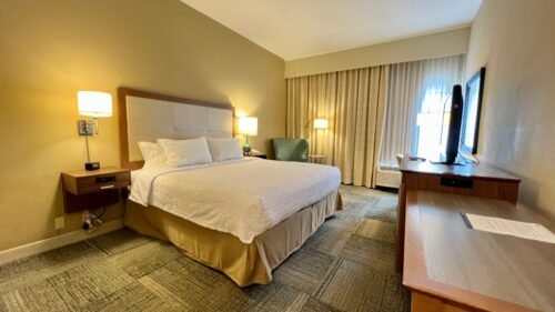 Hampton Inn Mount Dora king room