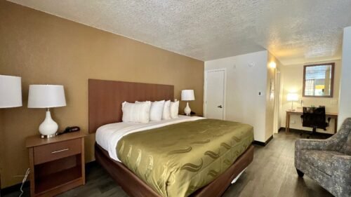 Quality Inn Saint Petersburg North Tampa Bay king room