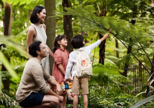 Elevate Your Family Getaway with Ritz-Carlton Ritz Kids Program in Greater China