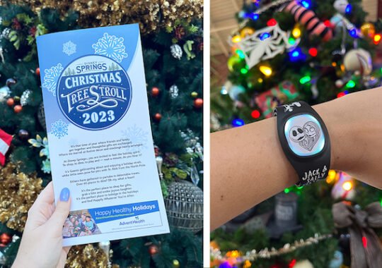 Experience The Magic: 6 Compelling Reasons To Explore Disney Springs This Holiday Season