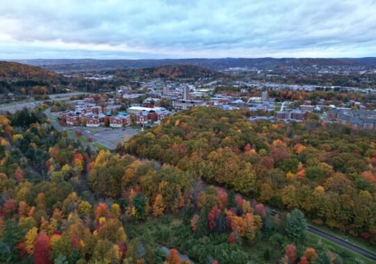 Discovering Vestal, New York: 10 Things You Need to Know