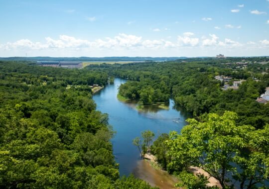 Reasons to Plan a Solo Trip to Branson