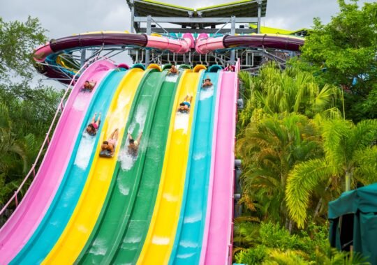Explore Five Compelling Reasons To Celebrate National Waterpark Day At Aquatica Orlando