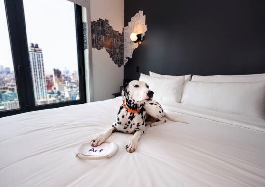 Aloft Hotels Honors ‘Working Dogs’ In Celebration Of International Dog Day