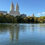 Central Park in New York City Review