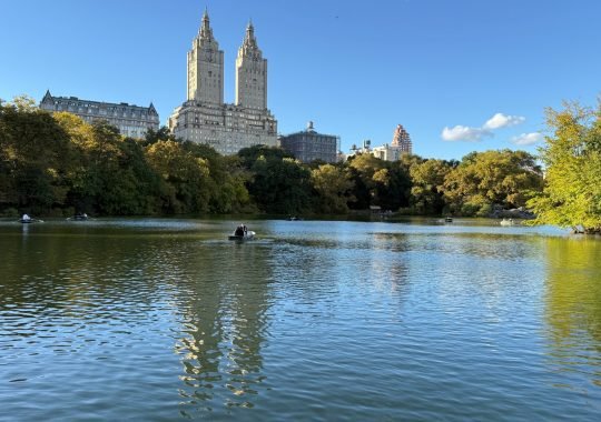 Central Park in New York City Review