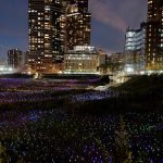A Dazzling Experience: Field of Light at Freedom Plaza