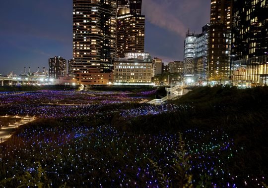 A Dazzling Experience: Field of Light at Freedom Plaza