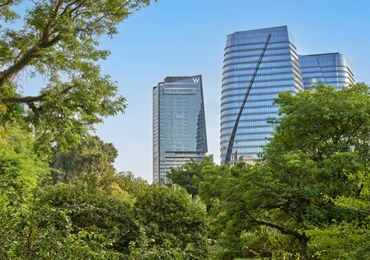 Discover the Thrill of W São Paulo’s Grand Debut in Brazil