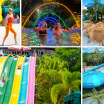 Aloha to Summer at Aquatica Orlando: A Splash-Tastic Spring Celebration