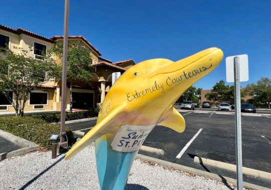 Comfort Inn & Suites St. Petersburg’s Northeast Gateway Reviews