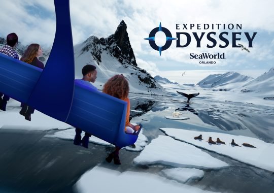 Experience the Arctic in a Whole New Way with Expedition Odyssey at SeaWorld Orlando