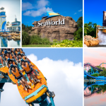 SeaWorld Orlando Summer Spectacular: A Season of Drones, Parades, and Arctic Adventures
