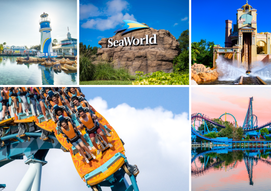 SeaWorld Orlando Summer Spectacular: A Season of Drones, Parades, and Arctic Adventures