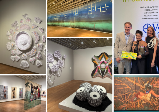Nathalie Alfonso Wins 2025 Florida Prize in Contemporary Art at the Orlando Museum of Art