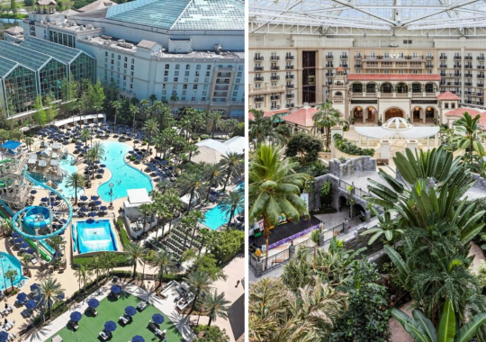 Gaylord Palms Resort & Convention Center Reviews