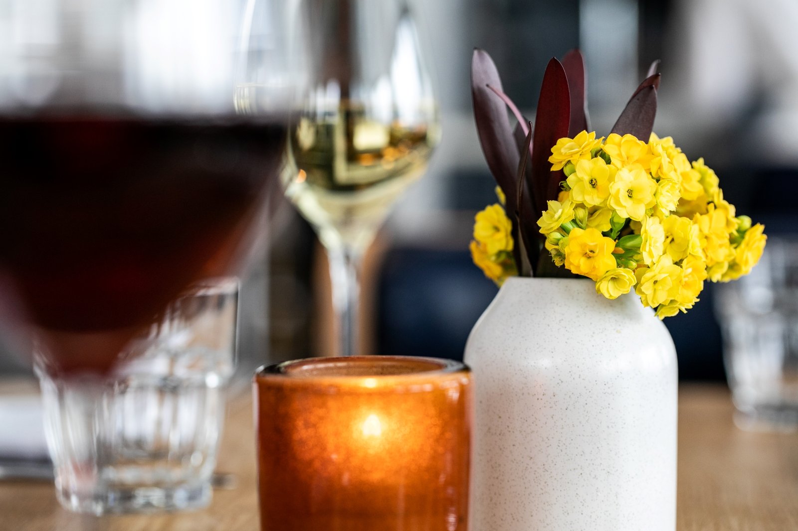 Wellness, Relaxation, and Live Music