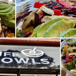 Life Bowls New Haven Review 3 Life Bowls New Haven Review