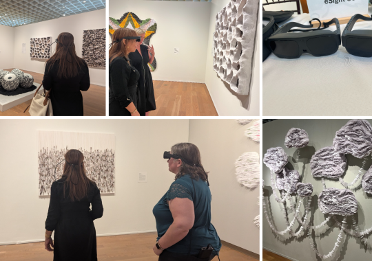 Orlando Museum of Art and eSight Partner to Make Art More Accessible