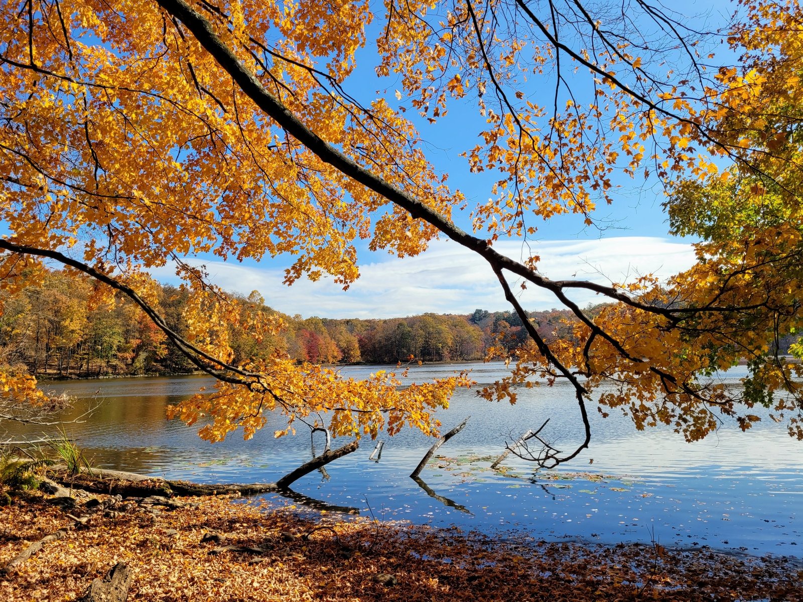 Your Complete Fall Guide to Westchester County NY