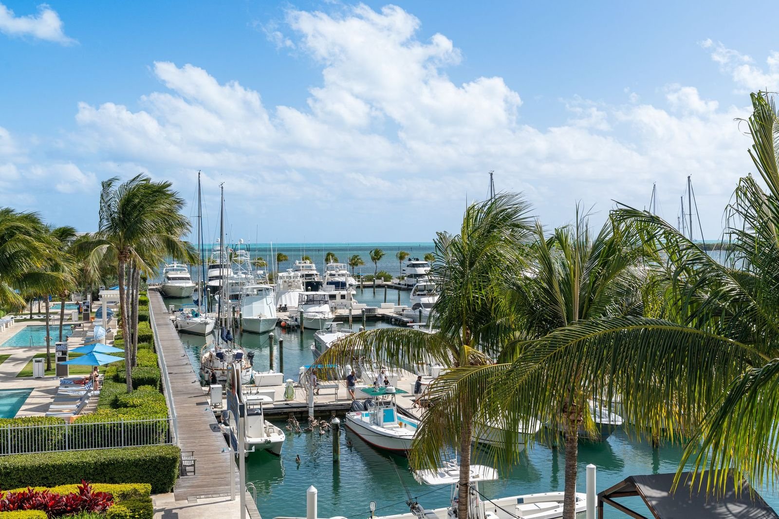 Hilton Key West Resort & Marina - Marina